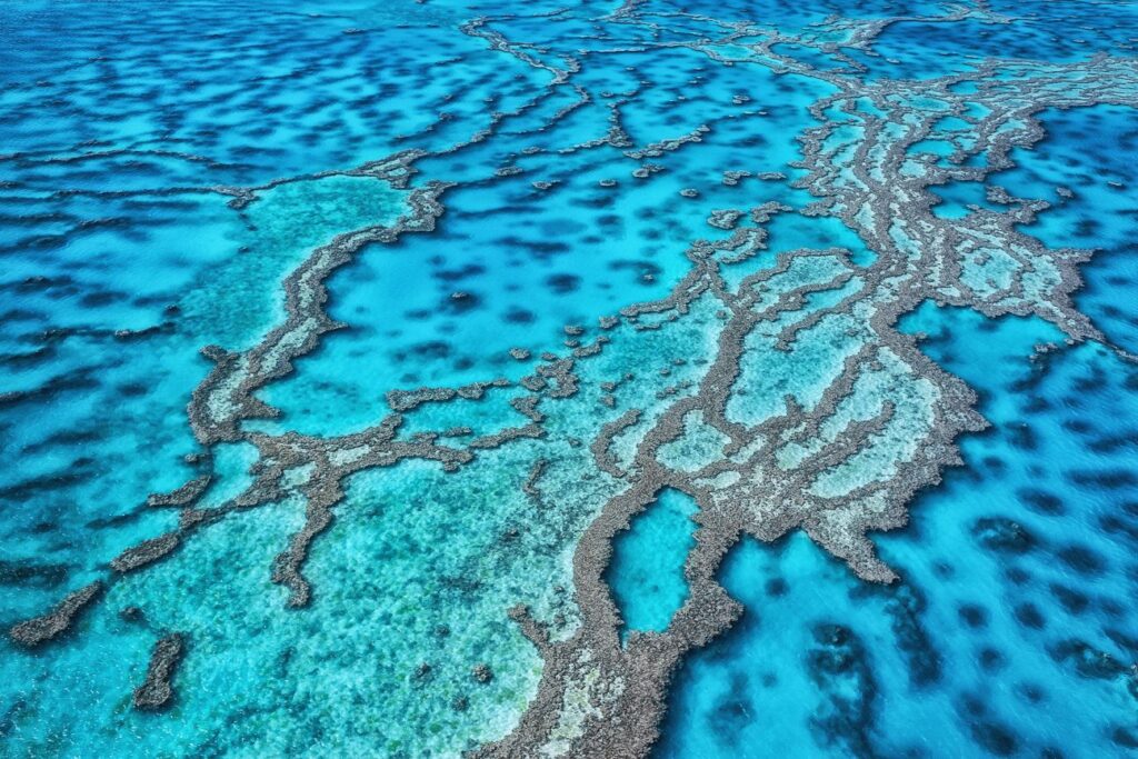 great barrier reef